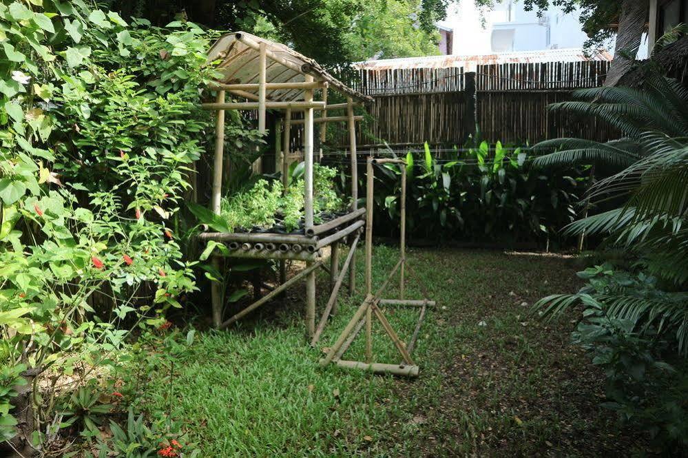 Blue Bayou Bungalows Balabag  Екстериор снимка