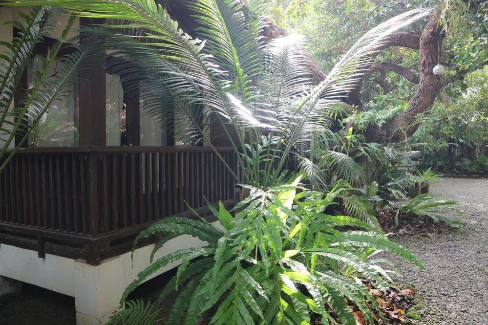 Blue Bayou Bungalows Balabag  Екстериор снимка